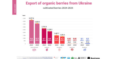 Ukraine’s Organic Berries and Nuts Growing Value and Strengthening Europe’s Supply Chains