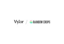 Vylor and Rainbow Crops Partner to Accelerate Development of Novel Gene-Edited Corn Traits