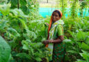 What Makes Climate Adaptation Work Inside Adaptation Insights
