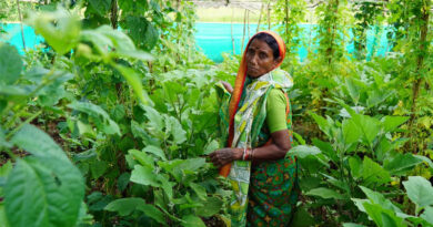 What Makes Climate Adaptation Work Inside Adaptation Insights