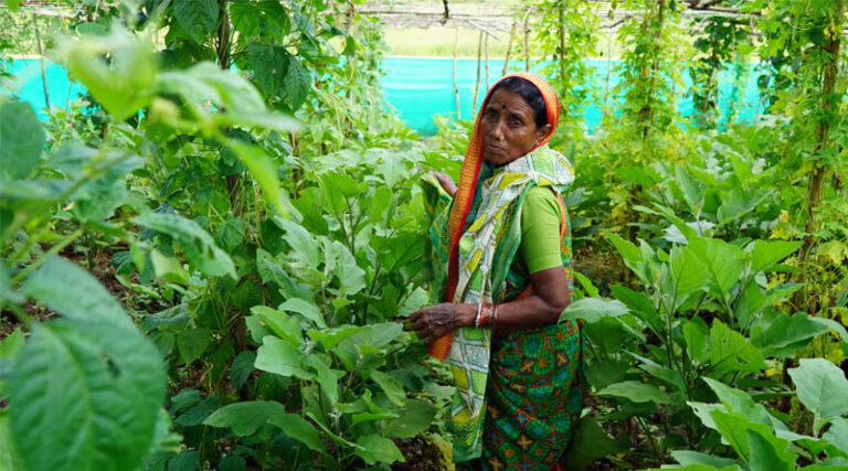What Makes Climate Adaptation Work Inside Adaptation Insights