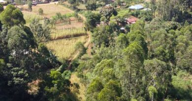 Where food, nature and livelihoods meet CGIAR Multifunctional Landscapes at Tropentag 2026