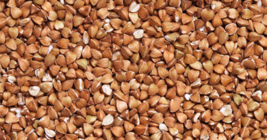 22-Nation Study Breeds Higher-Yielding Buckwheat by Reviving Genes Lost to Domestication