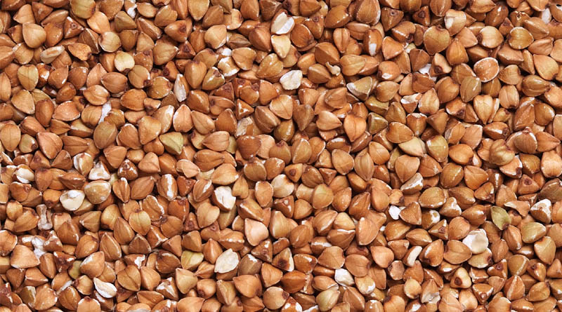 22-Nation Study Breeds Higher-Yielding Buckwheat by Reviving Genes Lost to Domestication