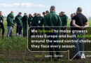 ADAMAIZE Built Around the Weed Control Realities of European Maize Growers