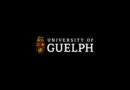 AI Platform Helps University of Guelph Breed Its First New Dry Bean Line