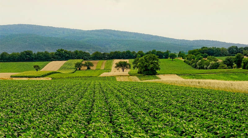 Across China International Journalists Witness Smart Agriculture Transform China's Breadbasket