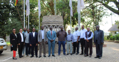 AfricaRice and CIMMYT Deepen Partnerships for Resilient Food Systems in Southern Africa
