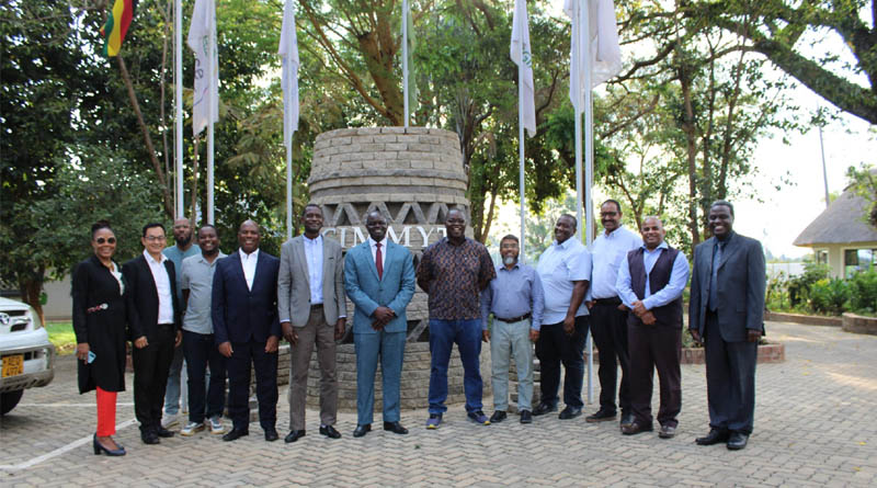 AfricaRice and CIMMYT Deepen Partnerships for Resilient Food Systems in Southern Africa