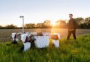 Antobot Targets 300 UV-C Robots to Cut Fungicide Spraying by 2027
