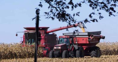 Atrazine Found at Harmful Levels in Nearly a Quarter of US Rivers, New Study Finds Atrazine Found at Harmful Levels in Nearly a Quarter of US Rivers, New Study Finds