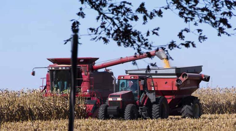 Atrazine Found at Harmful Levels in Nearly a Quarter of US Rivers, New Study Finds