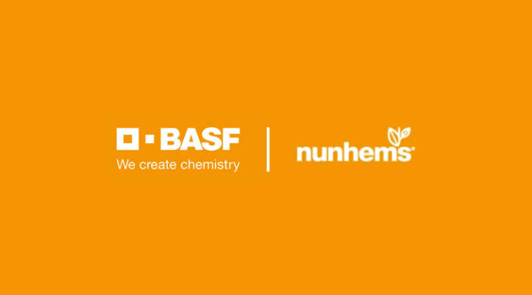 BASF Nunhems Expands Lettuce Breeding Capabilities with Automated Greenhouse in the Netherlands