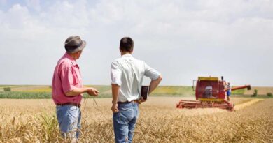 Bayer Report Warns Europe Risks Falling Behind Global Agricultural Competitors Without Faster Innovation Bayer Report Warns Europe Risks Falling Behind Global Agricultural Competitors Without Faster Innovation