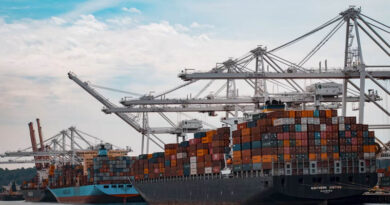 Black Sea Wheat Exports Collapse as Shipping Attacks Escalate