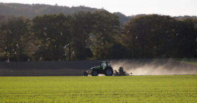 Brazil Pauses Pesticide Component Registration Under SISPA System Brazil Pauses Pesticide Component Registration Under SISPA System