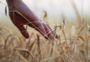 Brazil Was World's Second-Largest Importer of EU-Banned Pesticides in 2024, Oxfam Report Finds