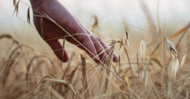Brazil Was World's Second-Largest Importer of EU-Banned Pesticides in 2024, Oxfam Report Finds Brazil Was World's Second-Largest Importer of EU-Banned Pesticides in 2024, Oxfam Report Finds