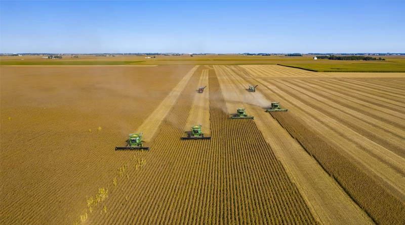 Brazil's Conab Projects Record Soybean Crop as Planting Lags