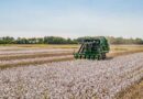 Brazil's Cotton Growers Spent a Record US$1.478 billion on Crop Protection in 202526