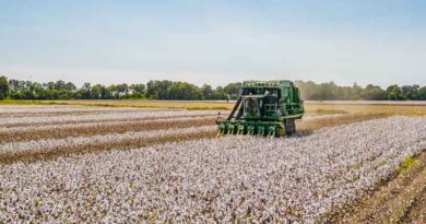 Brazil's Cotton Growers Spent a Record US$1.478 billion on Crop Protection in 202526