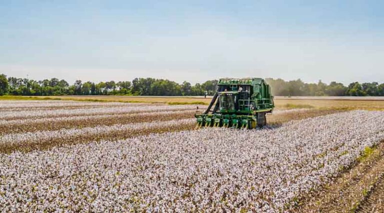 Brazil's Cotton Growers Spent a Record US$1.478 billion on Crop Protection in 202526