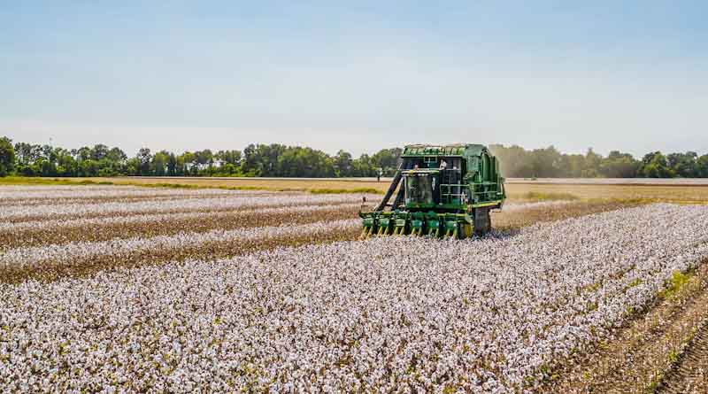 Brazil's Cotton Growers Spent a Record US$1.478 billion on Crop Protection in 202526