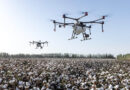 Brazil’s Cotton Pesticide Spending Hits Record R$8.2 Billion as Treatment Costs Jump 21 Percent