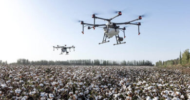 Brazil’s Cotton Pesticide Spending Hits Record R$8.2 Billion as Treatment Costs Jump 21 Percent Brazil’s Cotton Pesticide Spending Hits Record R$8.2 Billion as Treatment Costs Jump 21 Percent