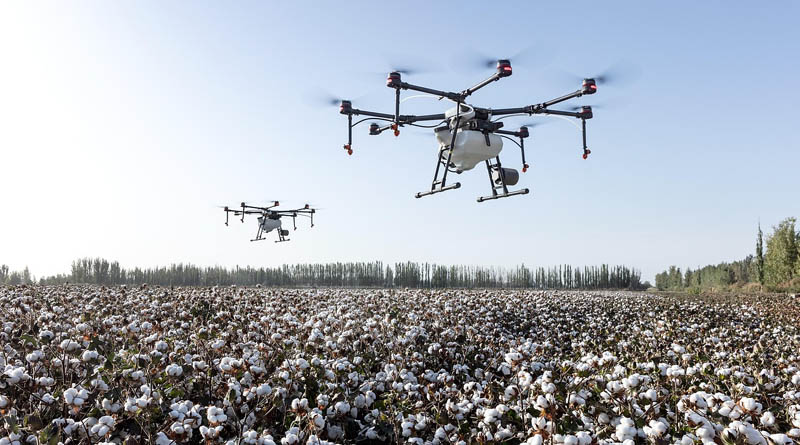 Brazil’s Cotton Pesticide Spending Hits Record R$8.2 Billion as Treatment Costs Jump 21 Percent