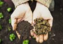 Brazil's Pending Bioinputs Decree Could Reshape Biopesticide Approval Times as Ibama Reviews Already Average Six Months