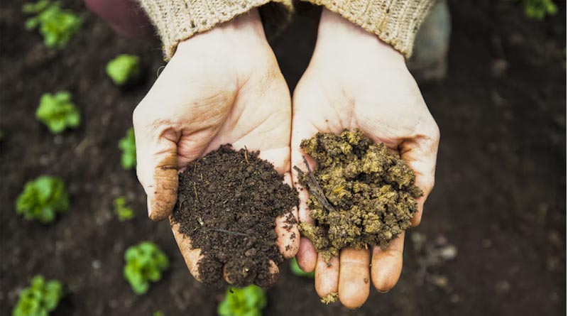 Brazil's Pending Bioinputs Decree Could Reshape Biopesticide Approval Times as Ibama Reviews Already Average Six Months