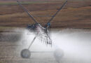 China Trials Mineral-Treated Irrigation Water to Lift Crop Yields