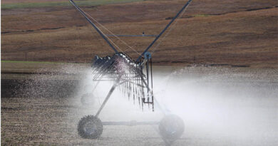 China Trials Mineral-Treated Irrigation Water to Lift Crop Yields
