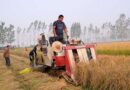 China Trims Soybean Crop Forecast, Holds Import Outlook Steady