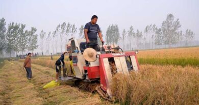China Trims Soybean Crop Forecast, Holds Import Outlook Steady China Trims Soybean Crop Forecast, Holds Import Outlook Steady