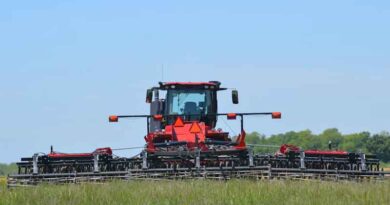 China's Glyphosate Technical Price Climbs to 29,000 Yuan a Tonne as Raw Material Costs Bite China's Glyphosate Technical Price Climbs to 29,000 Yuan a Tonne as Raw Material Costs Bite