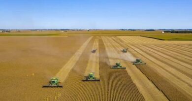 China's Soybean Snub Deepens Even as US Tariff Relief Kicks In