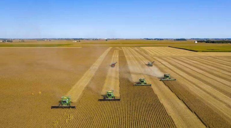 China's Soybean Snub Deepens Even as US Tariff Relief Kicks In