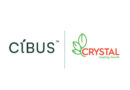 Cibus and Crystal Crop Partner to Develop Gene-Edited Mustard Traits for India