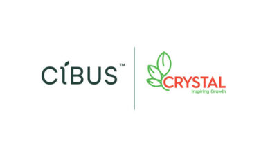 Cibus and Crystal Crop Partner to Develop Gene-Edited Mustard Traits for India Cibus and Crystal Crop Partner to Develop Gene-Edited Mustard Traits for India