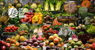Crop Diversity Day 2026 Puts Flavour and Healthier Diets on the Menu