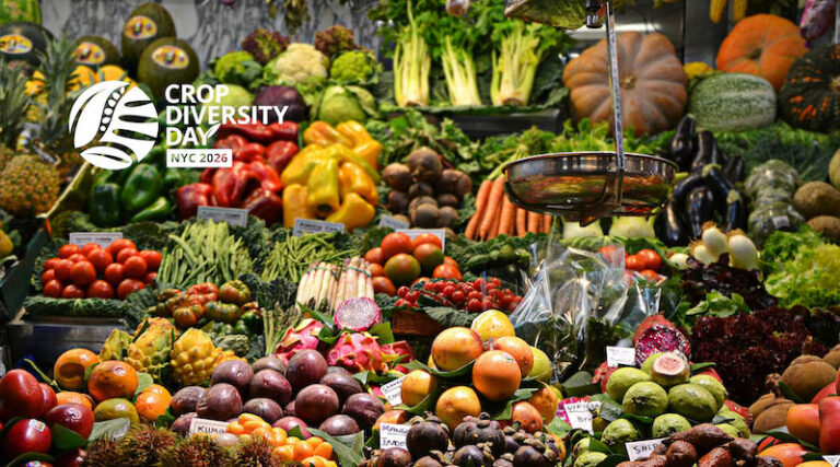 Crop Diversity Day 2026 Puts Flavour and Healthier Diets on the Menu