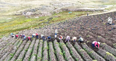 Crop Diversity The Foundation Of Food Security