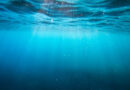 Deep-Sea Microbe's Heat-Proof Enzyme Offers Clues for Better Biofertilizers
