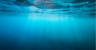 Deep-Sea Microbe's Heat-Proof Enzyme Offers Clues for Better Biofertilizers