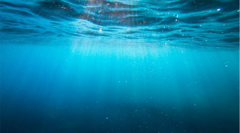 Deep-Sea Microbe's Heat-Proof Enzyme Offers Clues for Better Biofertilizers