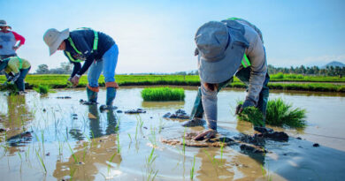 EFFECT Project Reaches Mindanao To Support Wider Adoption Of Agricultural Technologies