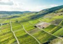 EU Council Backs Near-Zero Pesticide Residue Limits on Imported Food