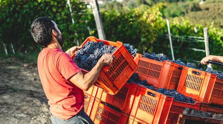EU Council Rejects Unlimited Pesticide Approvals, Agrees 15-Year Cap for Most Active Substances